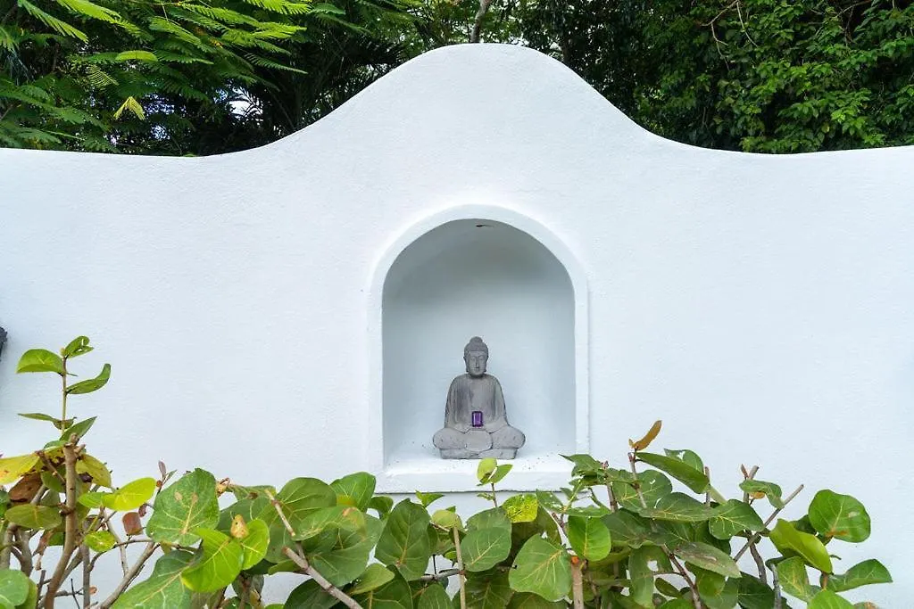 Vakantiehuis Las Terrazas Los Chivos Vieques Puerto Rico