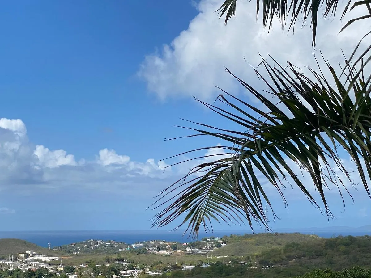 Las Terrazas Los Chivos Vieques 0*,
